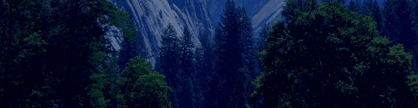 Forest and mountains background